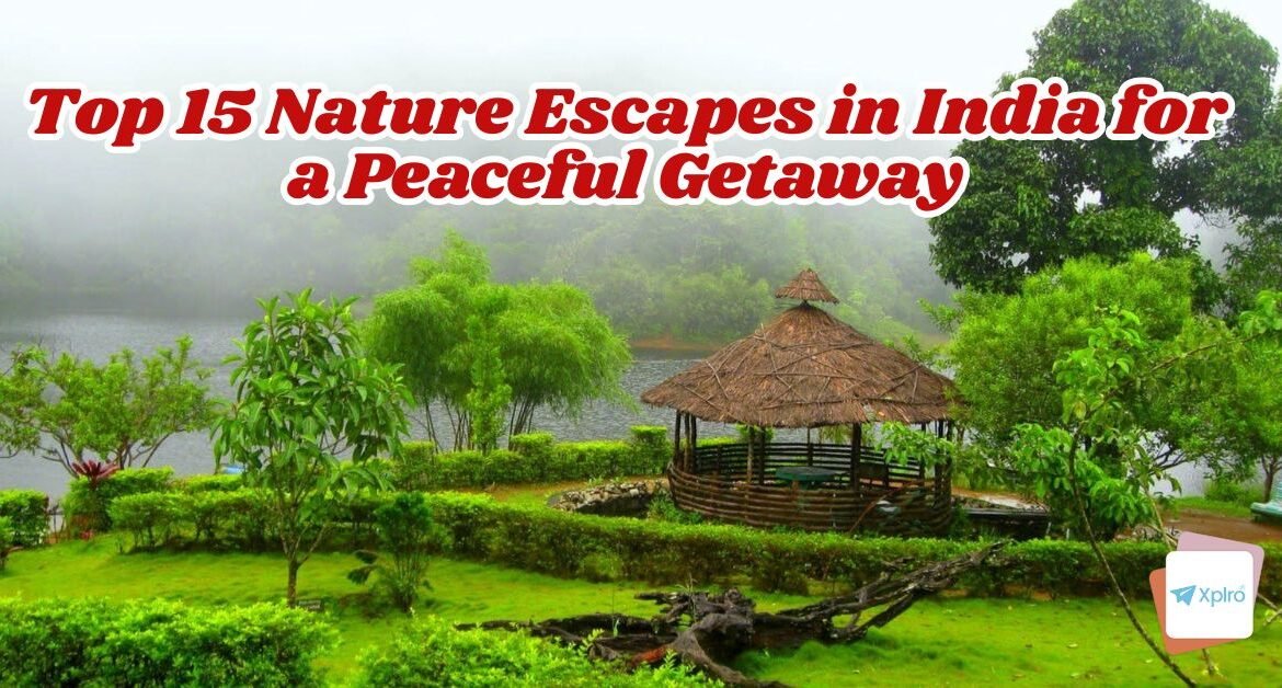 Top 15 Nature Escapes in India for a Peaceful Getaway